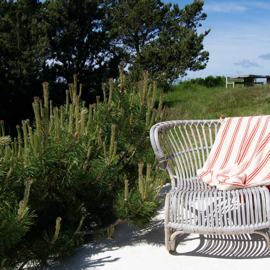 Towels - Orange 100x150