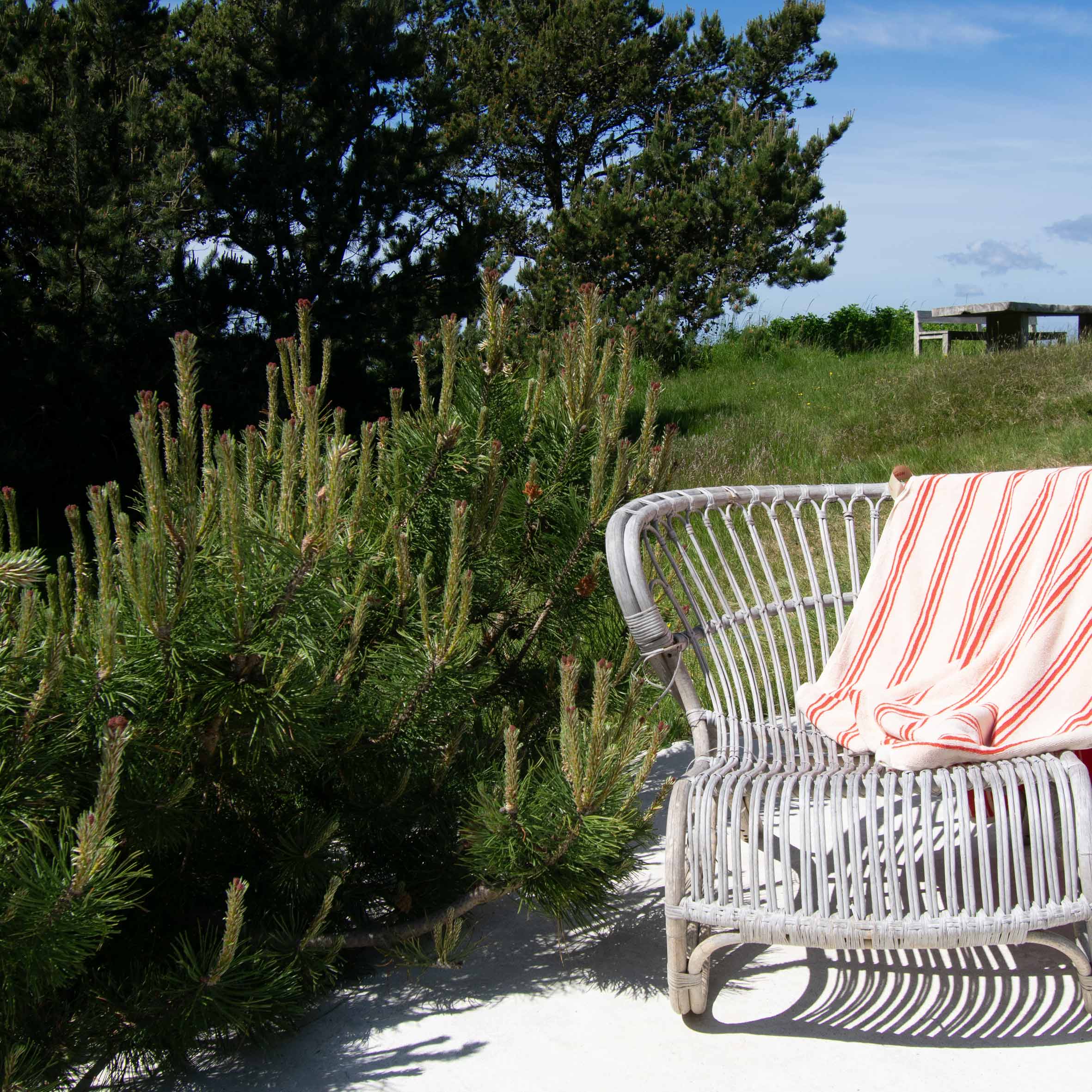 Towels - Orange 100x150