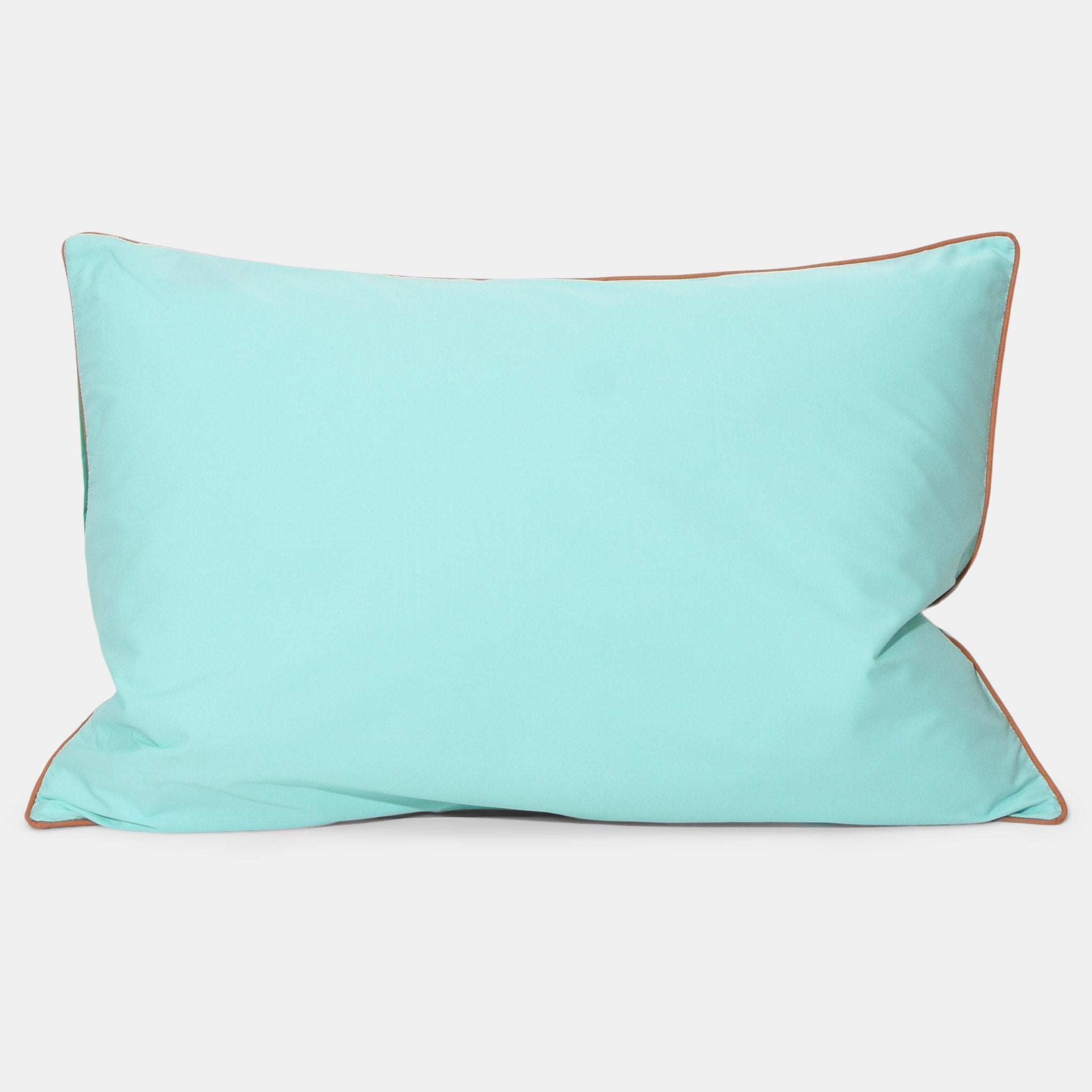 Cushion - Mint